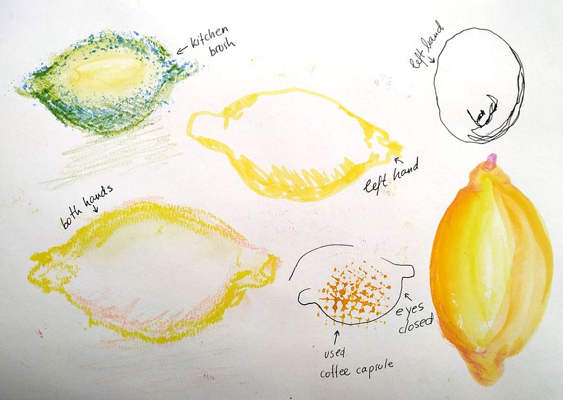 My project in Illustrating Nature: A Creative Exploration course 13