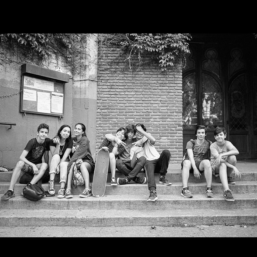 Proyecto Olivos. 2
