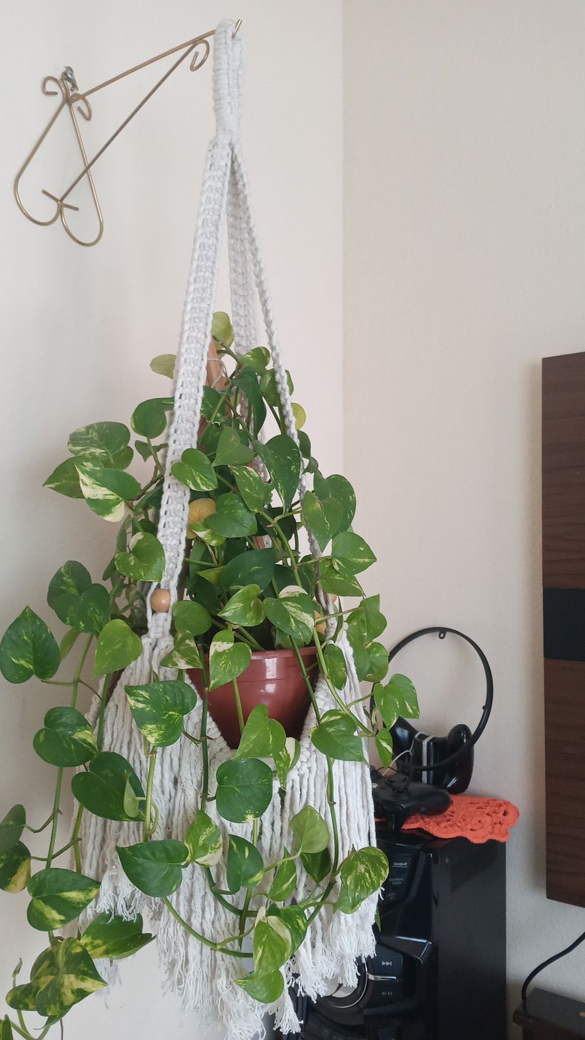 Meu projeto do curso: Design de acessórios em macramê 2