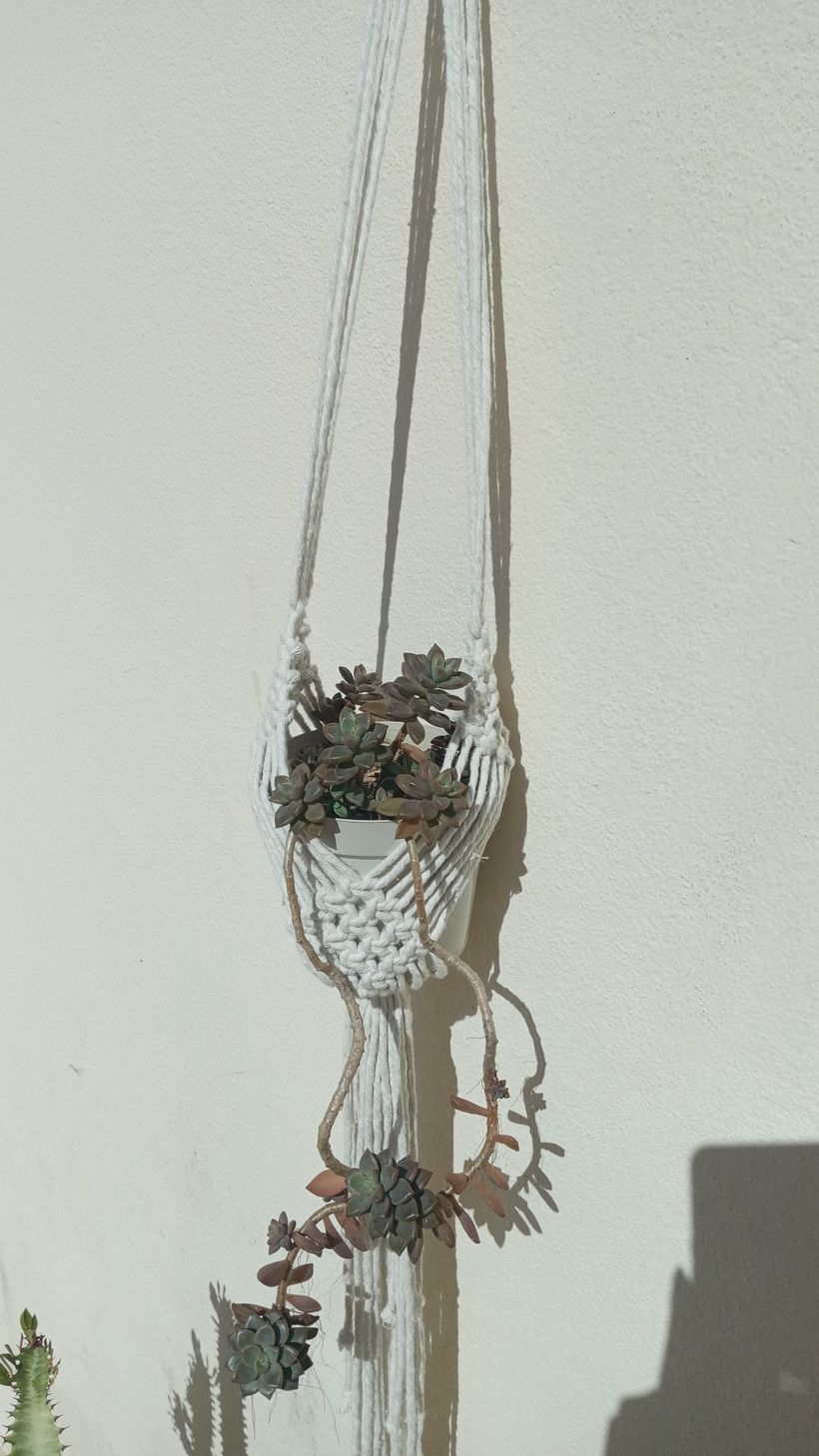 Meu projeto do curso: Design de acessórios em macramê 5