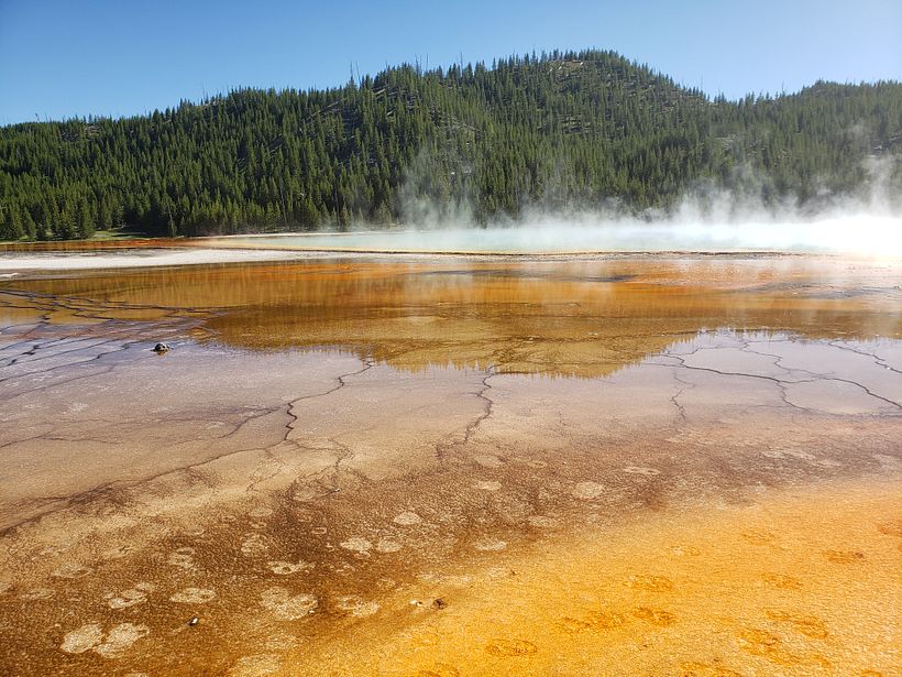 My project in Watercolor Landscapes: Experimental Tools and Techniques course 5