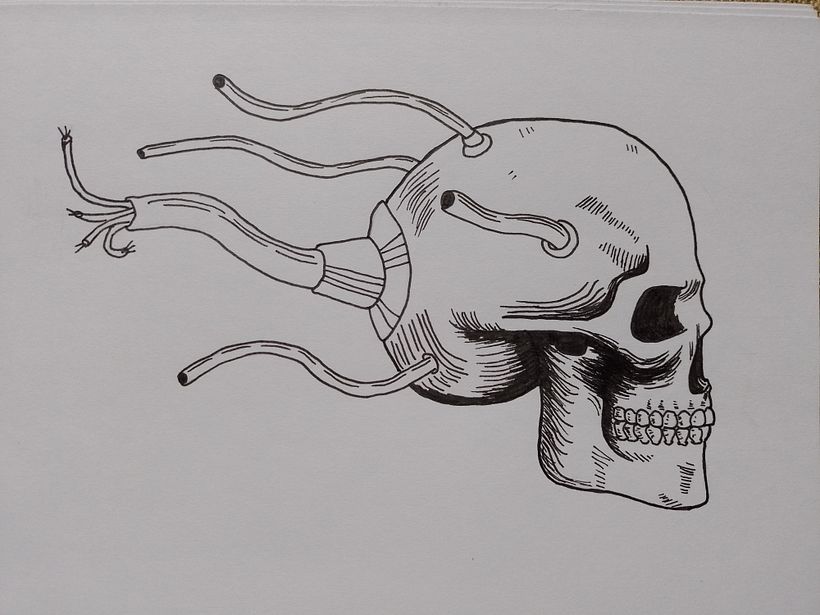 Mi Proyecto del curso: Dibujo anatómico de la cabeza humana 1