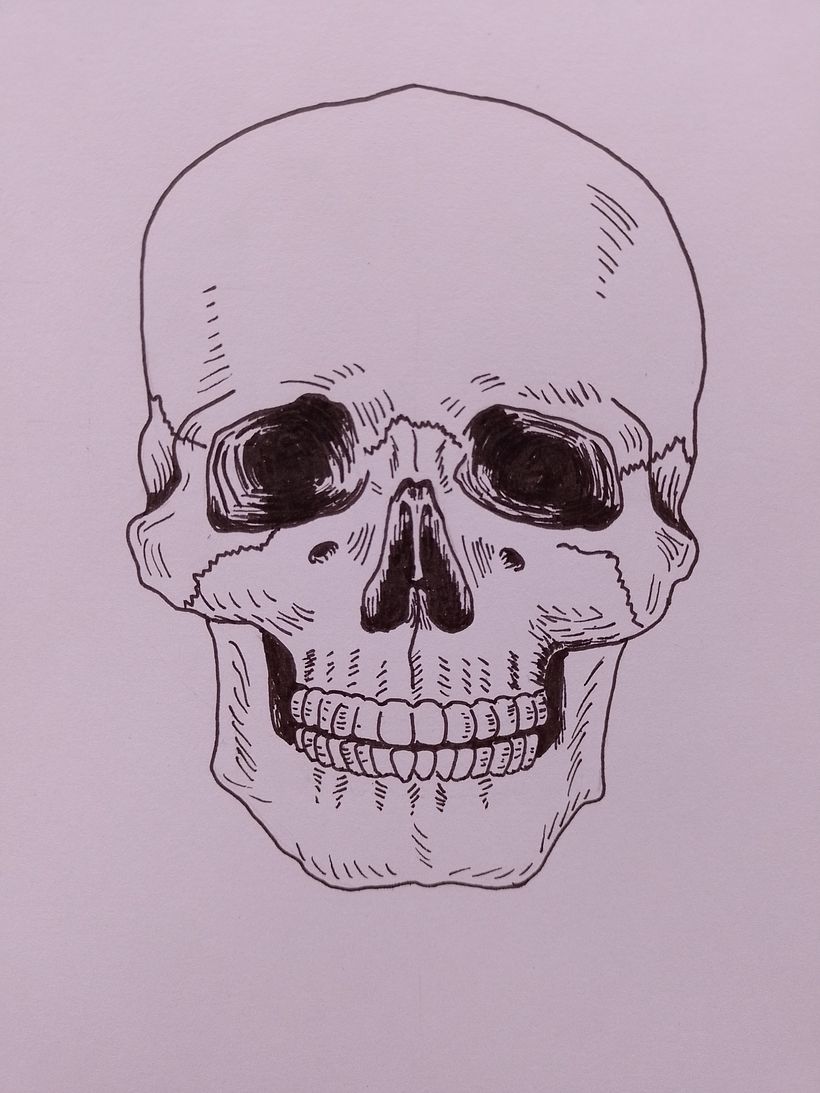 Mi Proyecto del curso: Dibujo anatómico de la cabeza humana 2