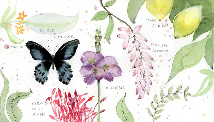 My project in Naturalist Journaling with Watercolor course 2