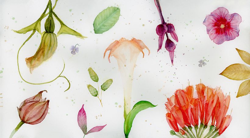 My project in Naturalist Journaling with Watercolor course 3