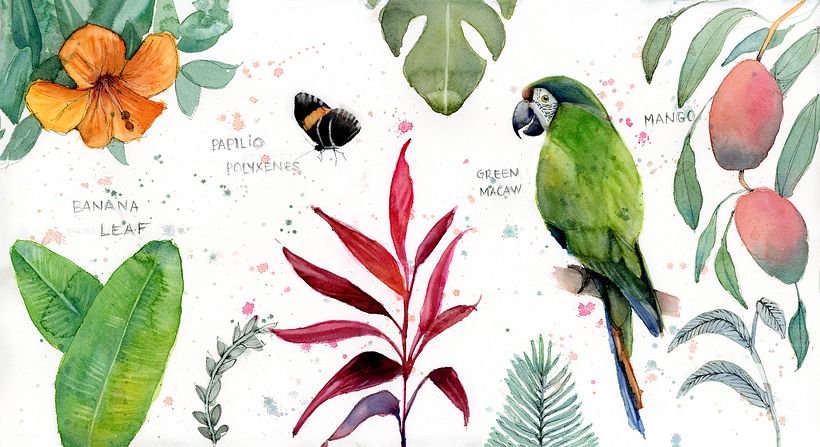 My project in Naturalist Journaling with Watercolor course 5