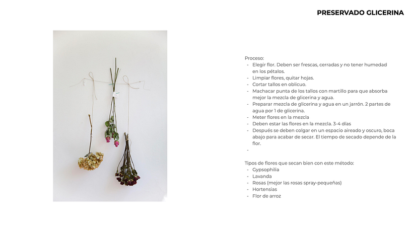Aprende a preservar y secar flores secas desde tu hogar con esta descarga.
