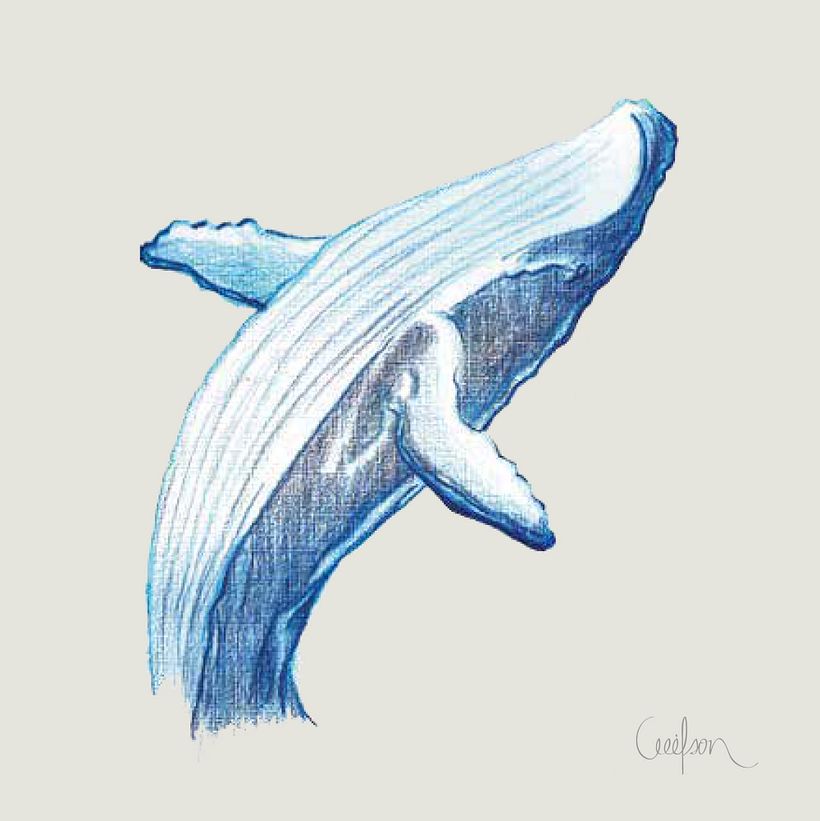 AFICHE FESTIVAL DE CINE  2