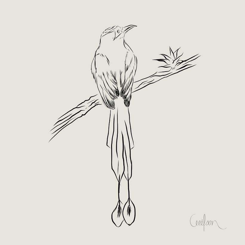 AFICHE FESTIVAL DE CINE  3