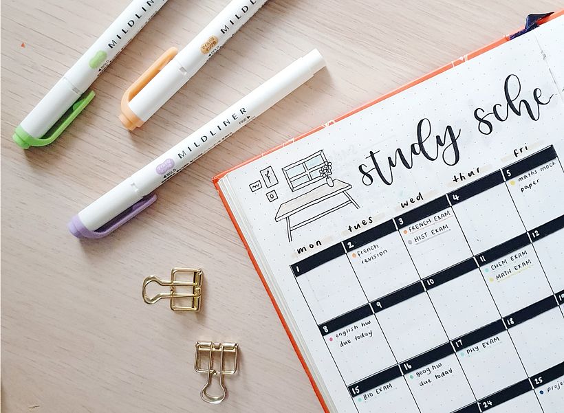 Study Schedule