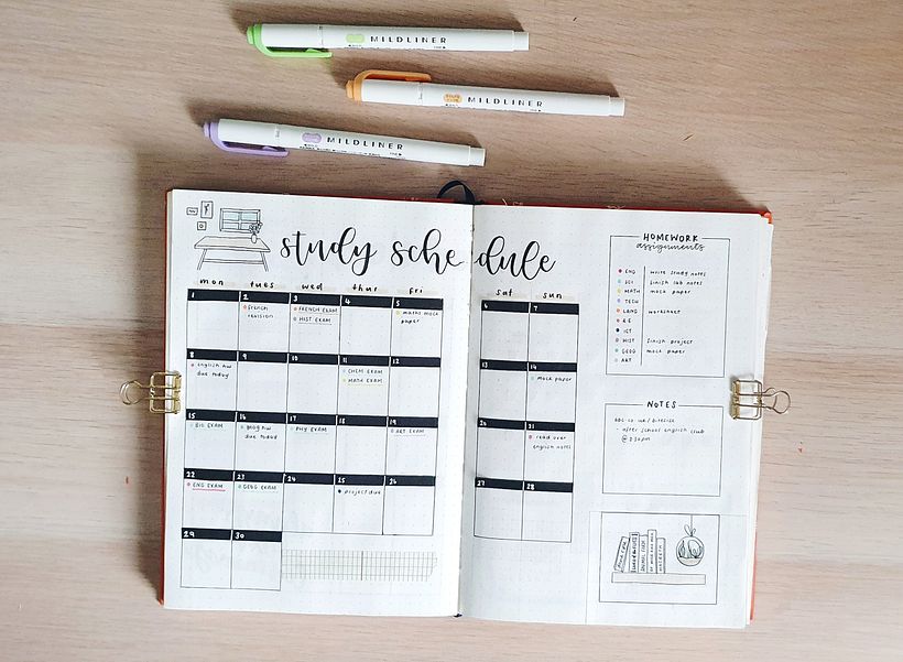 Study Schedule