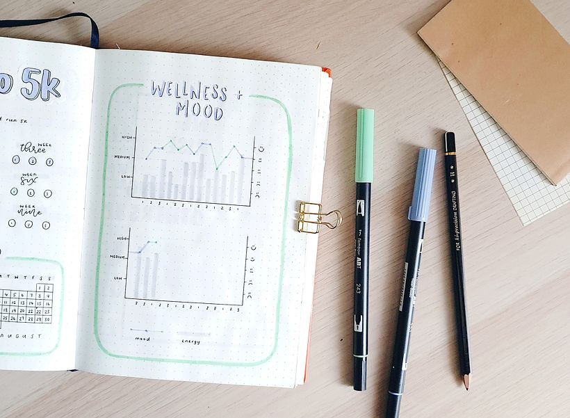 Wellness and Mood Tracker