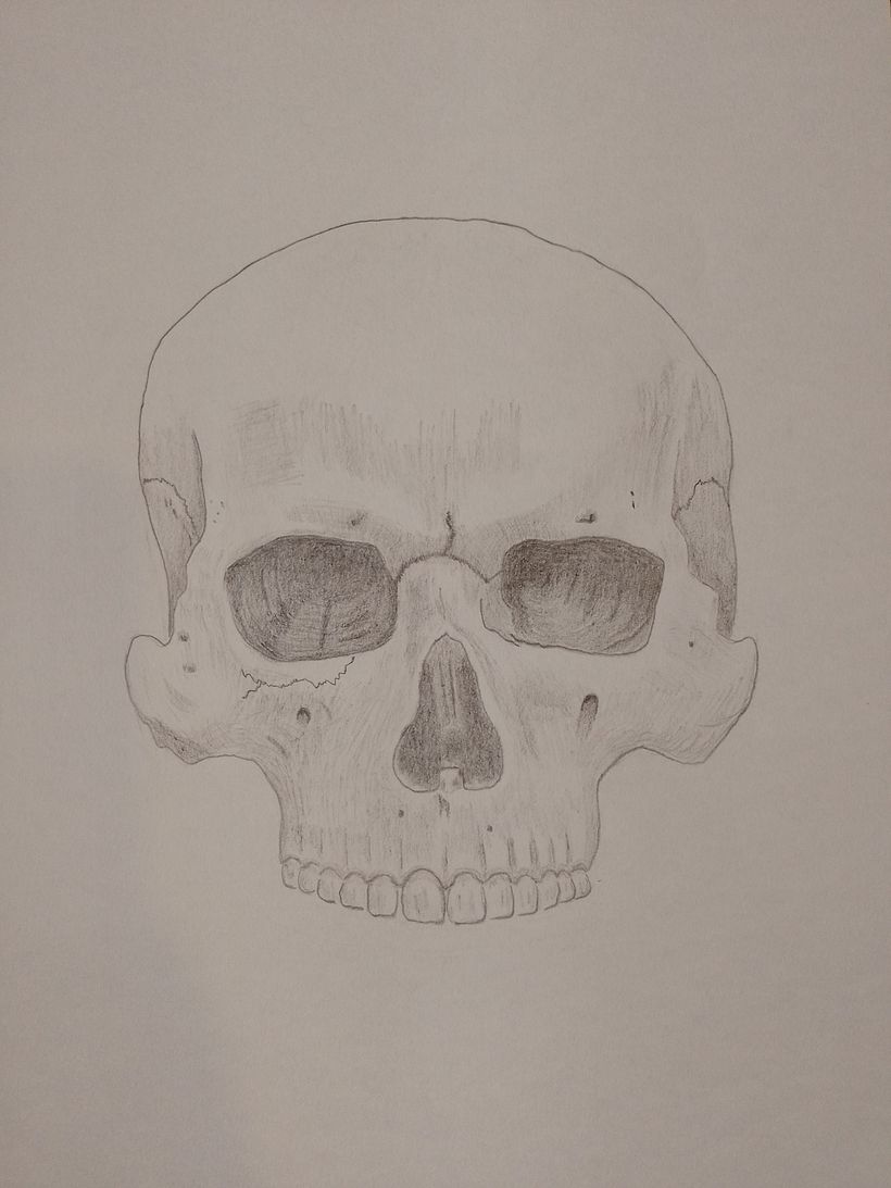 Mi Proyecto del curso: Dibujo anatómico de la cabeza humana 3