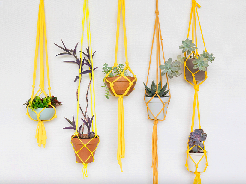Examples of the plant hangers you can create yourself with the below download.
