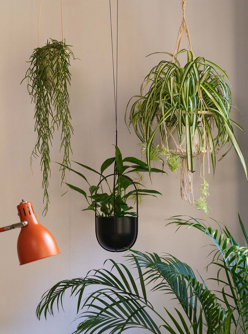Different hangers add different moods and textures to your space.