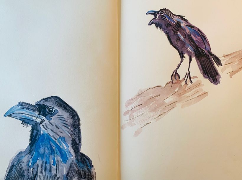 Semi-abstracted ravens