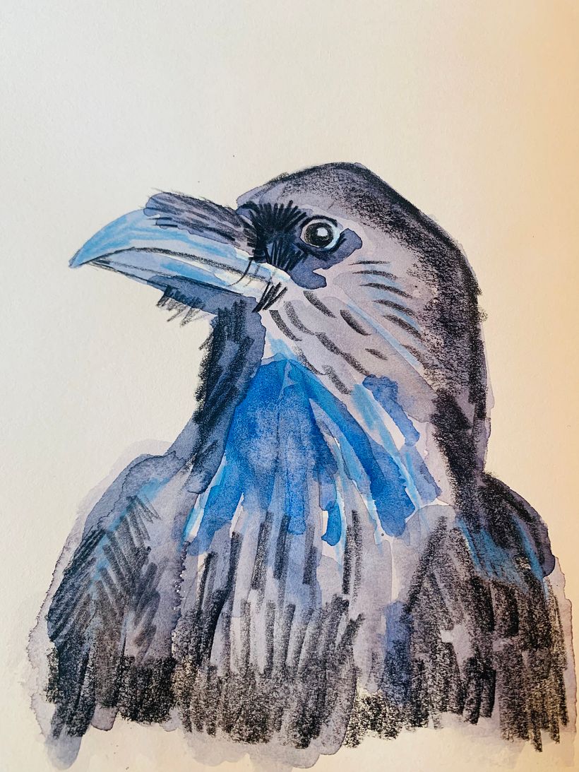 Watercolour raven with colour pencil details