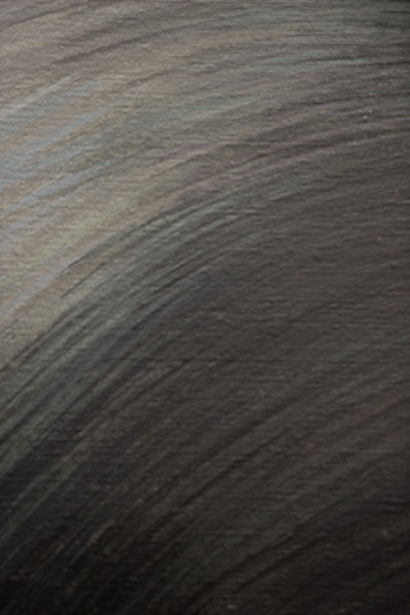 Encargo de Human series 5