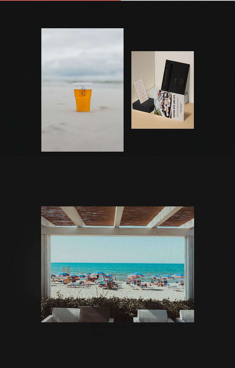 Shark Bar 11