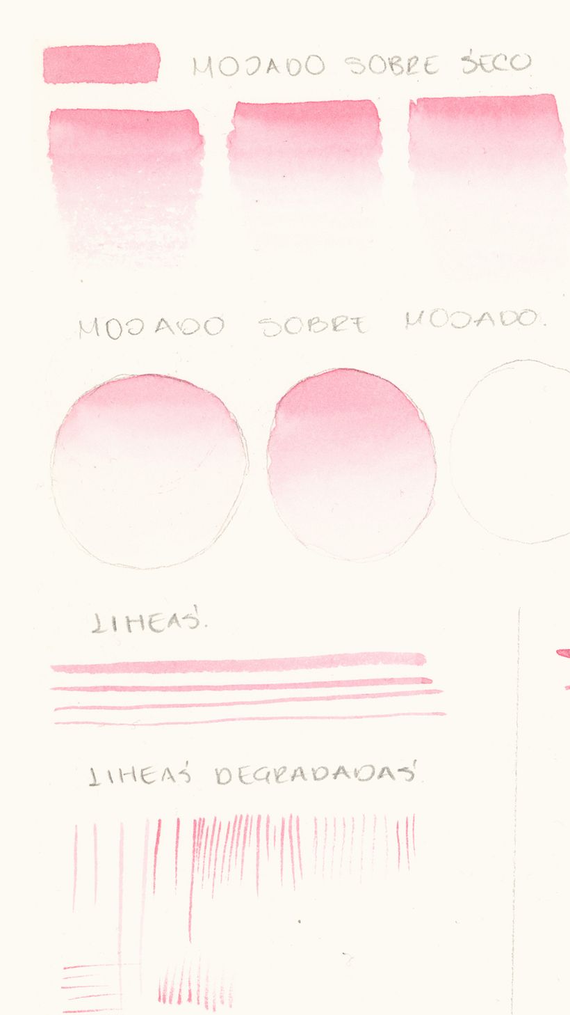 Mi Proyecto del curso: Acuarela realista para composiciones botánicas 13