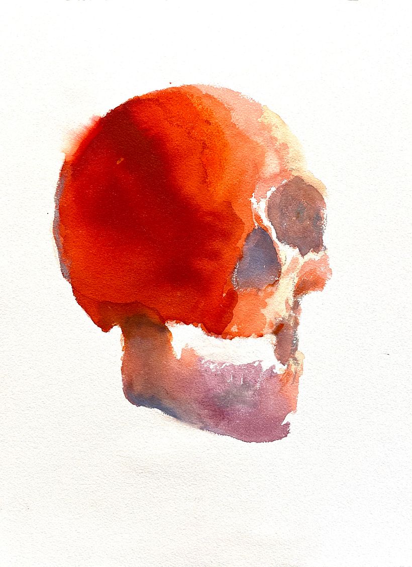 Skulls 4