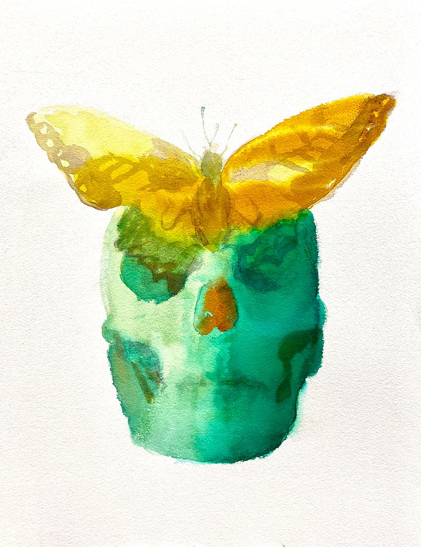 Skulls 5