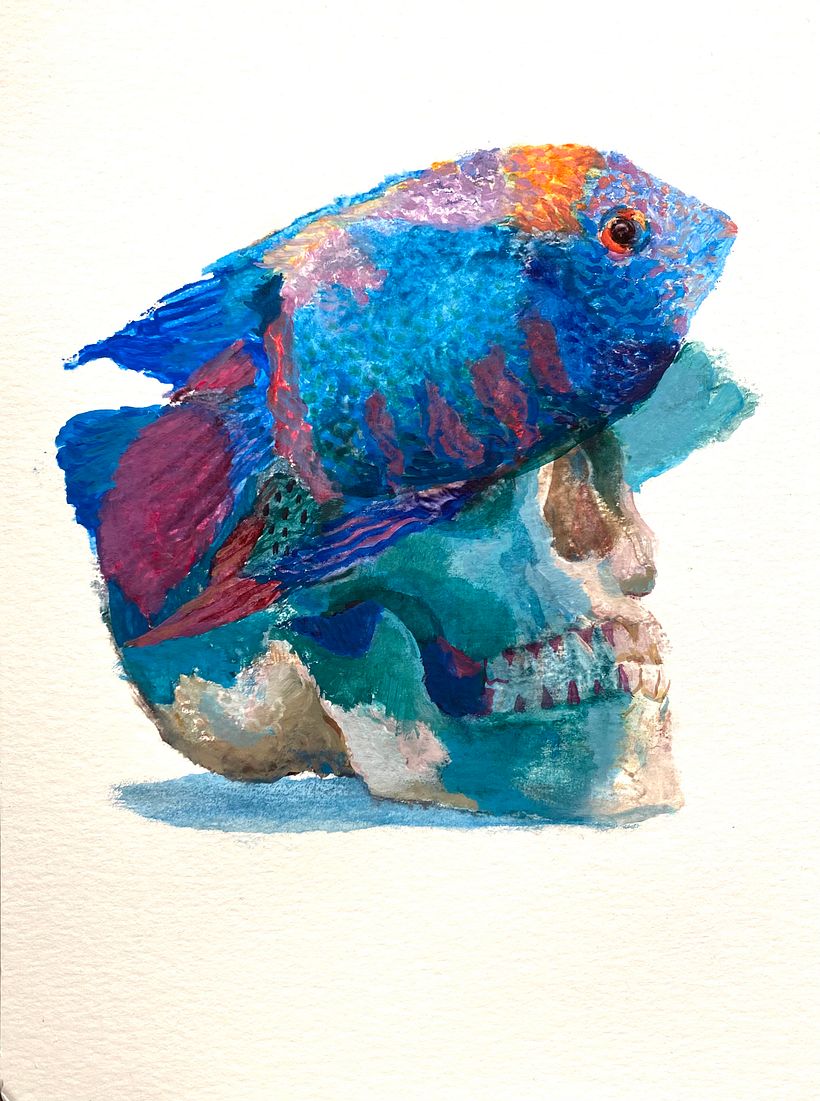 Skulls 6