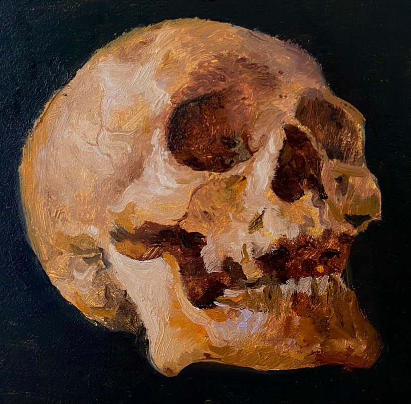 Skulls 11