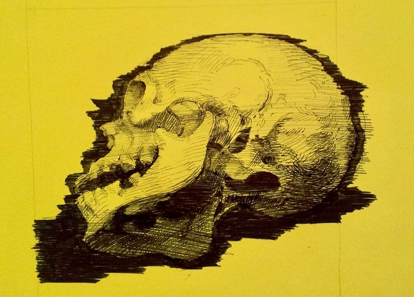 Skulls 13