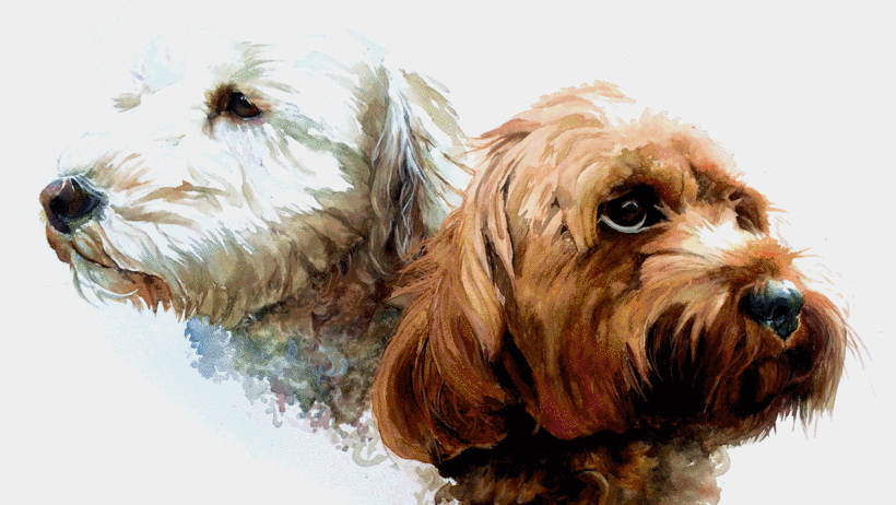 Watercolor artwork by Sarah Stokes.