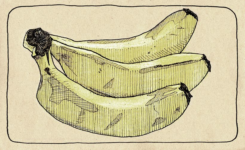 My project in Botanical Illustration: From Notebook to Print course 3
