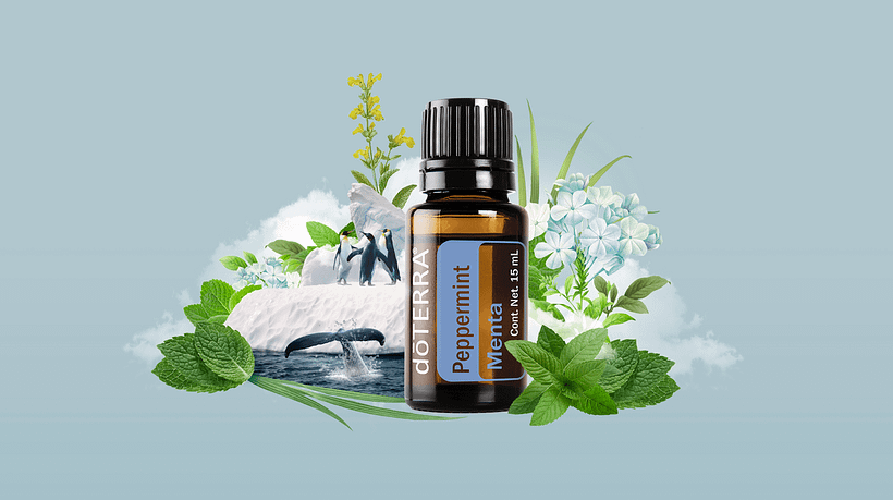 doTERRA 4