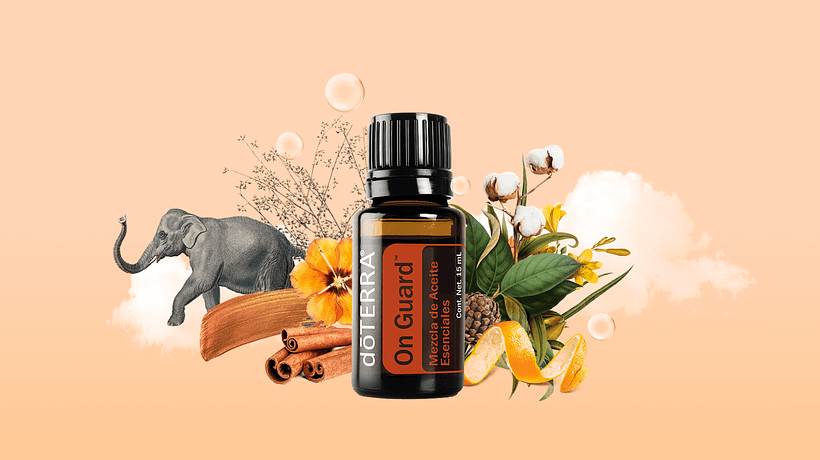 doTERRA 2