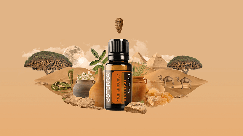 doTERRA 8