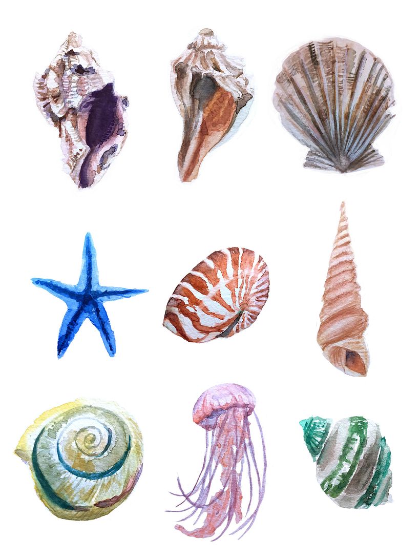 Elementos Marinos