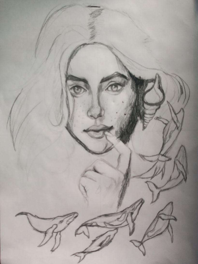 Boceto