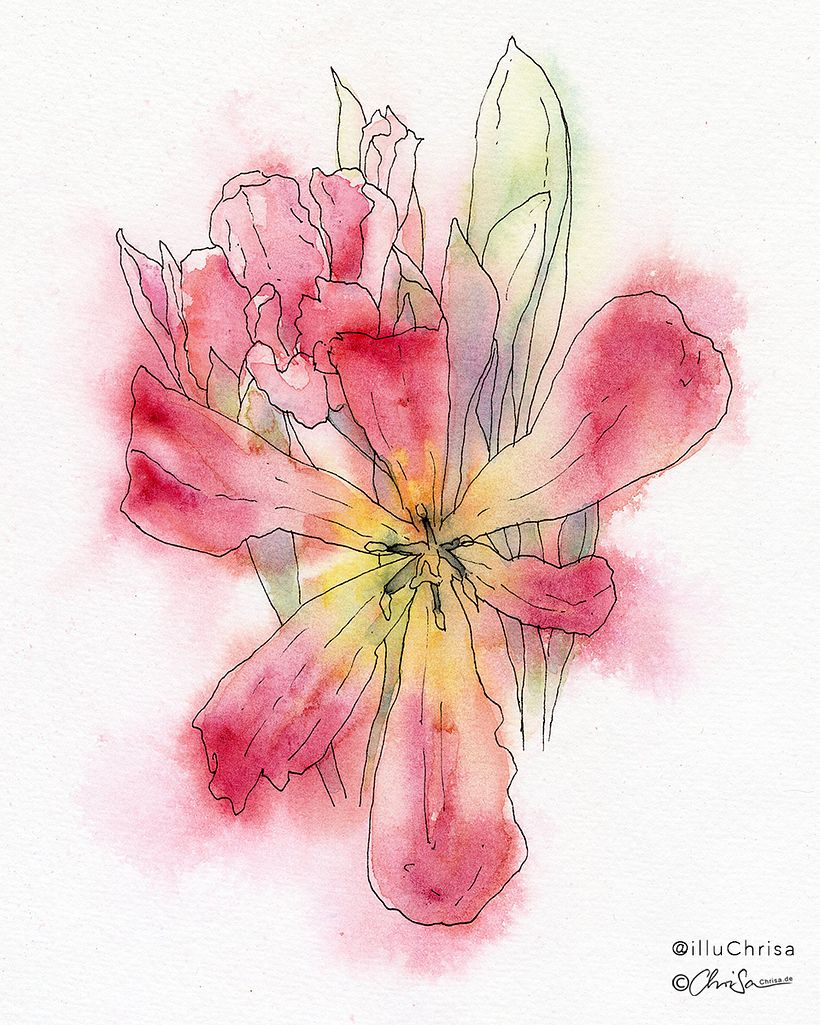 One of the floral sketches shown in my book.