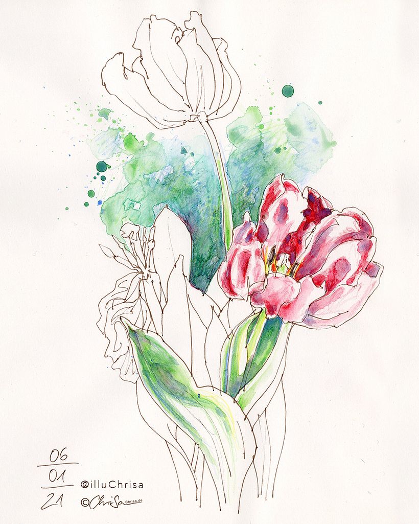 My book "Floral Sketching" 6