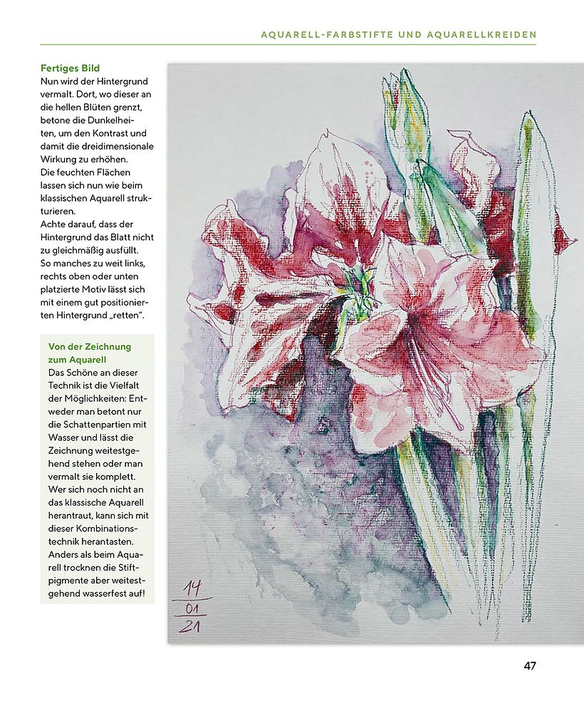 My book "Floral Sketching" 7