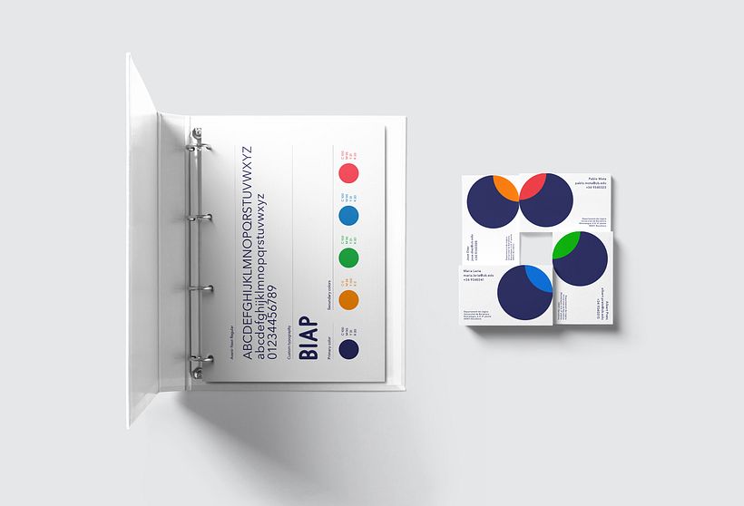 Visual identity for BIAP 4