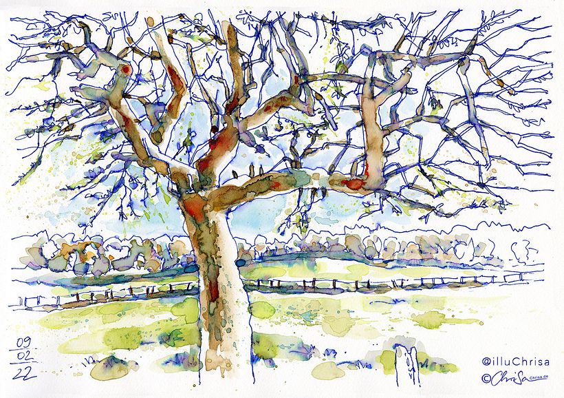 Nature Sketching 5