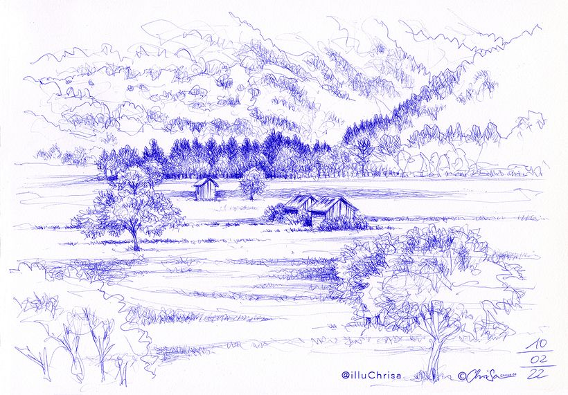 Nature Sketching 12