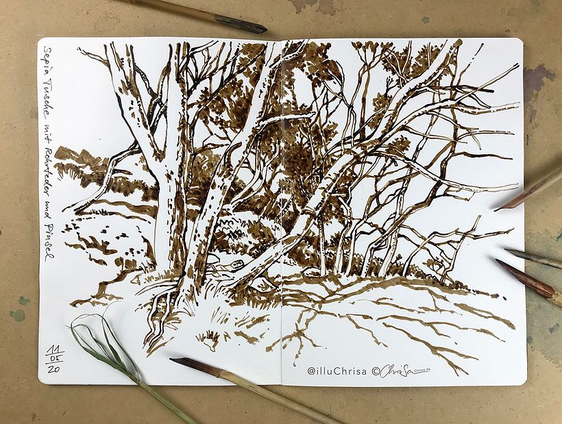 Nature Sketching 6