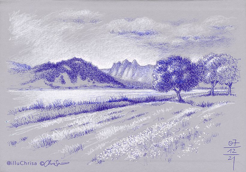 Nature Sketching 13