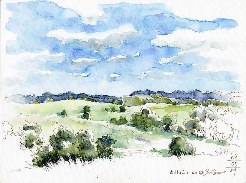 Nature Sketching 7