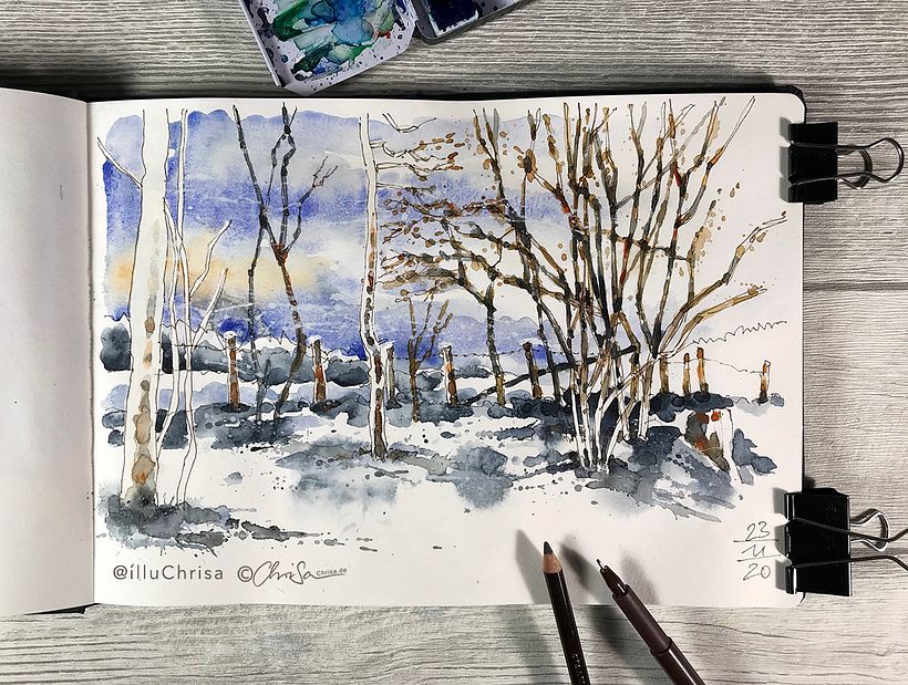 Nature Sketching 17