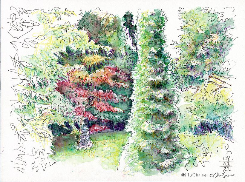 Nature Sketching 10