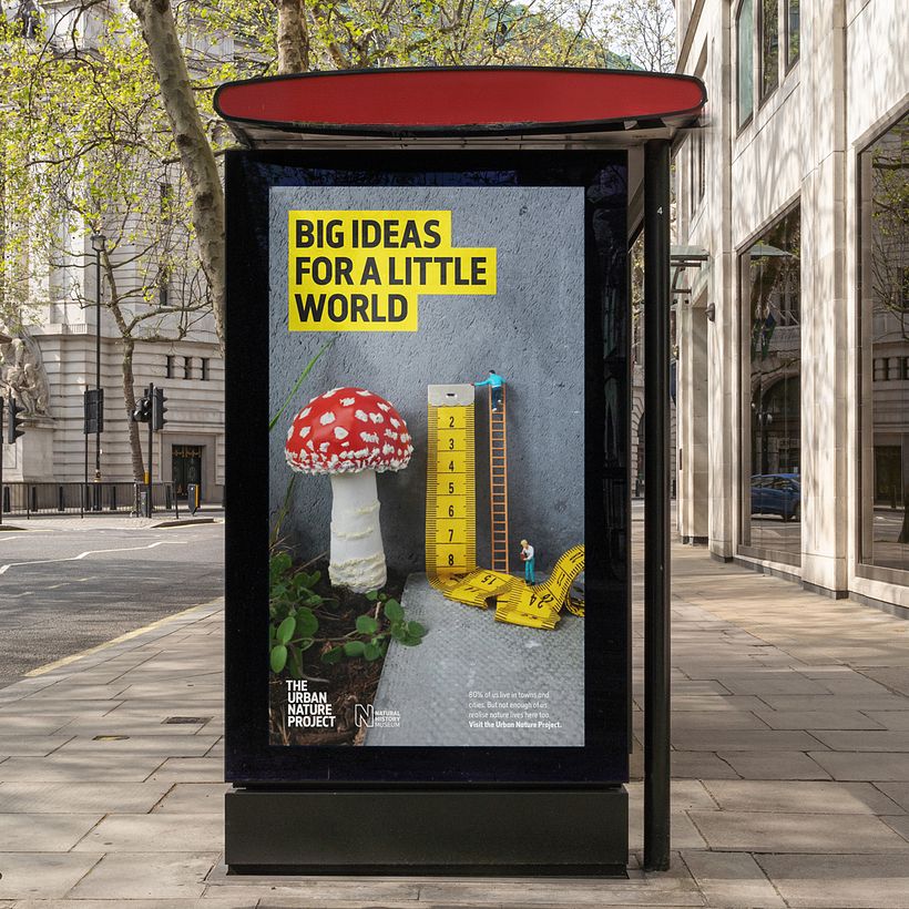 El Proyecto Naturaleza Urbana 7