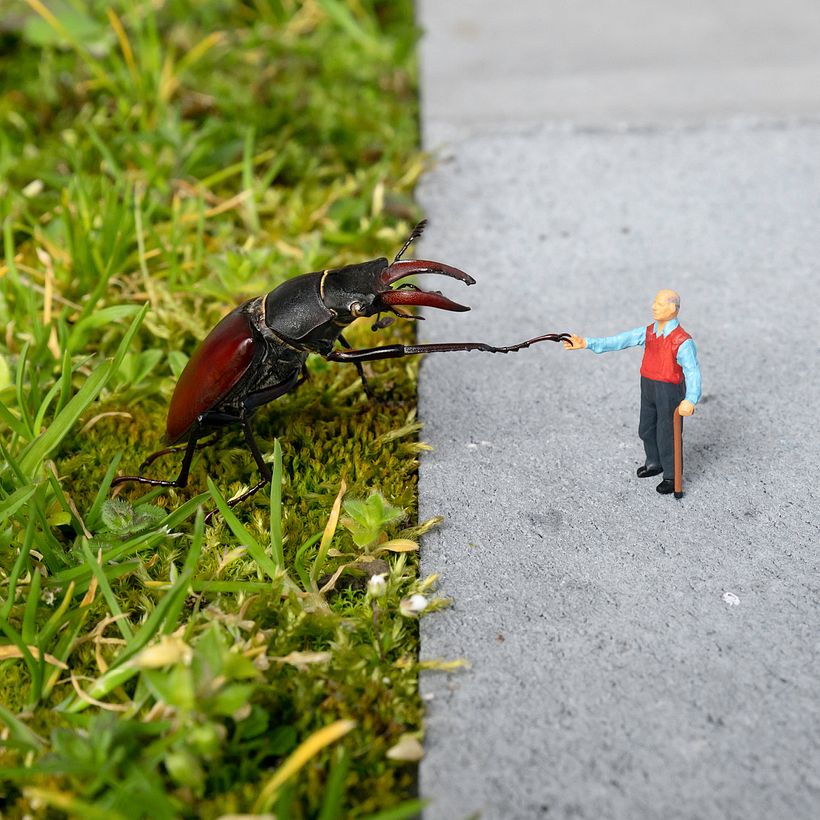 El Proyecto Naturaleza Urbana 1