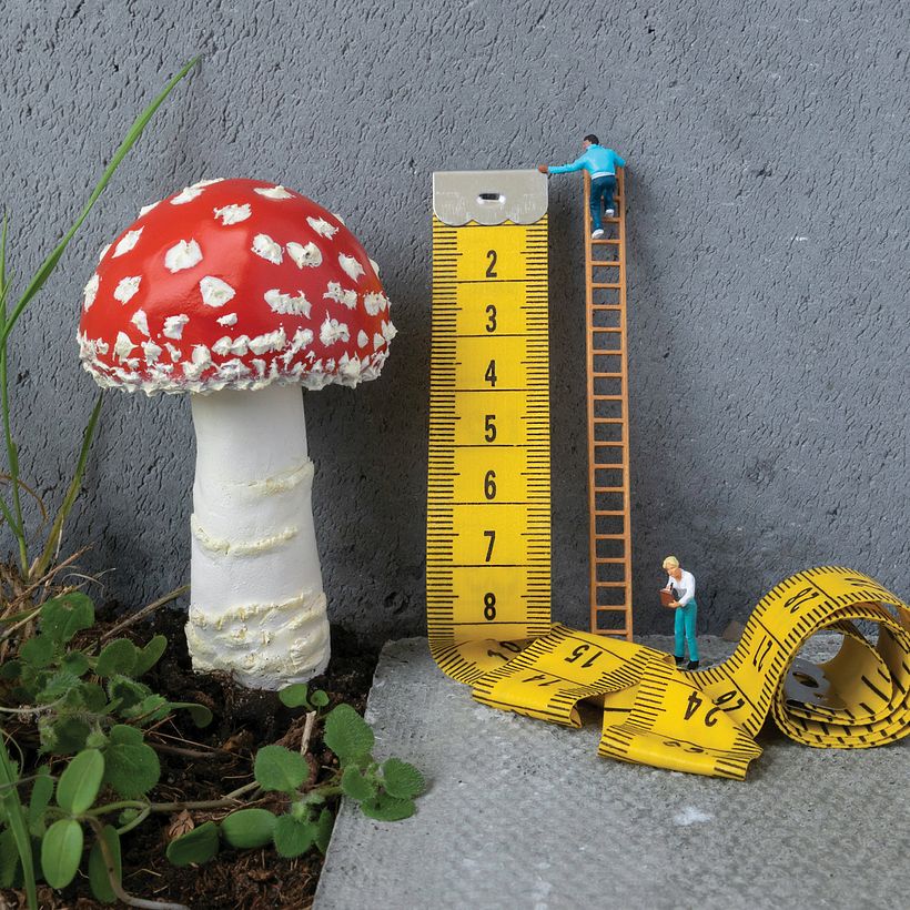 El Proyecto Naturaleza Urbana 3